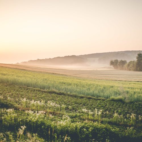 agricole